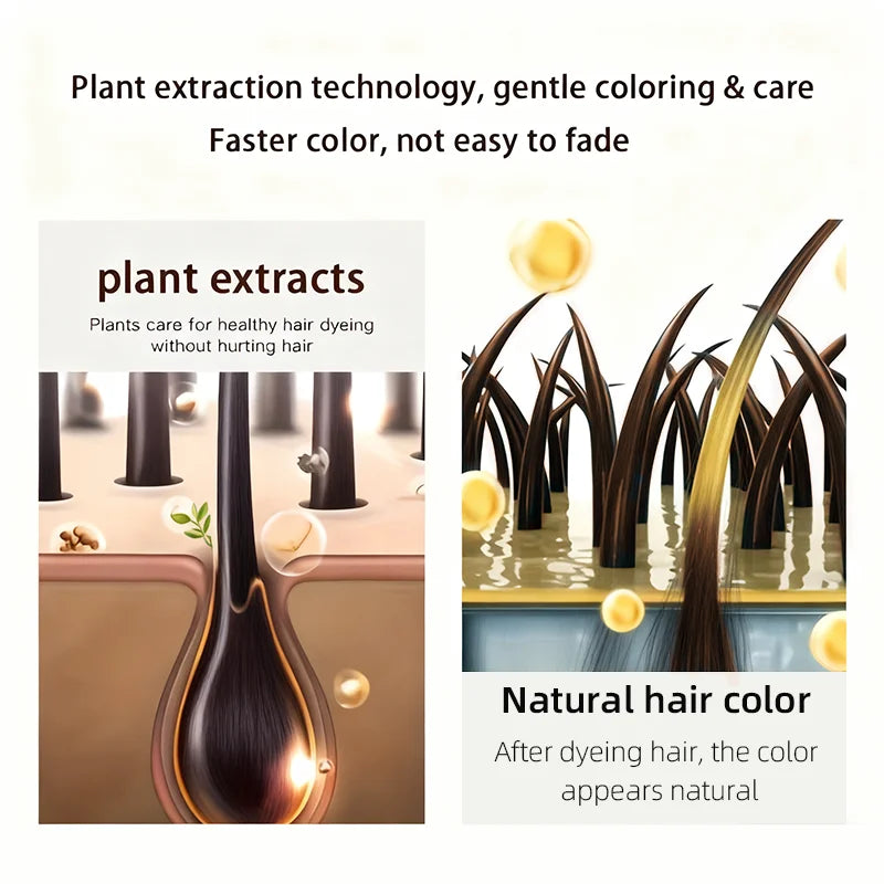 Brown Hair Dye Shampoo 4-in-1 Natural Ginger Formula 100ml